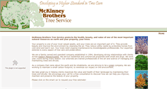 Desktop Screenshot of mckinneybrothers.com